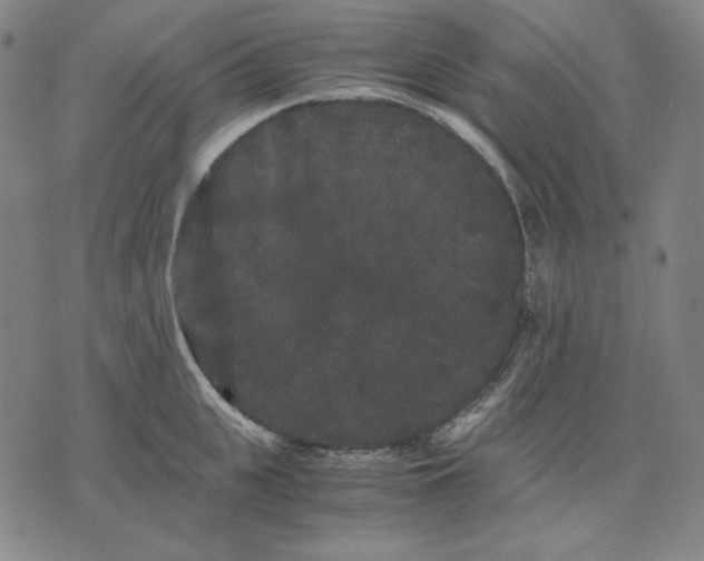 X0000071900951200607281800