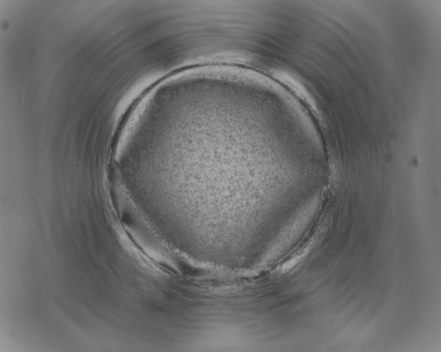 X0000071900952200607281800