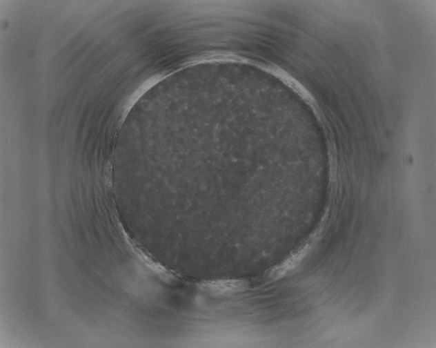 X0000071900953200607281800