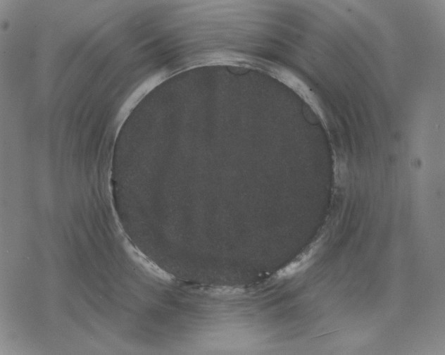 X0000071900954200607281800