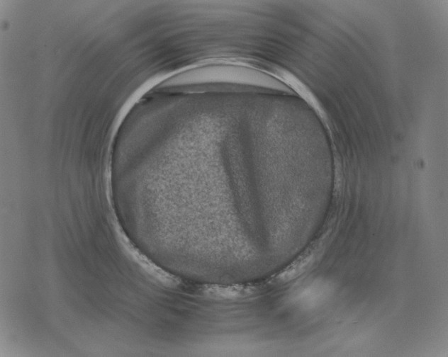 X0000071900955200607281800