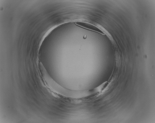 X0000071900956200607281800