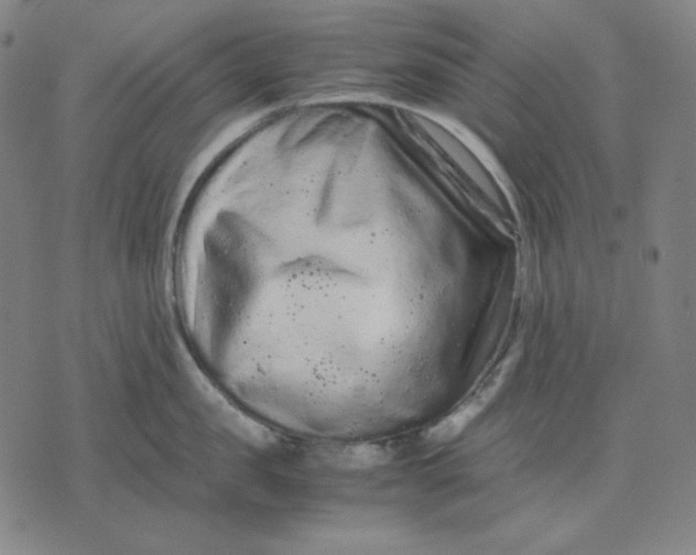 X0000071900957200607281800