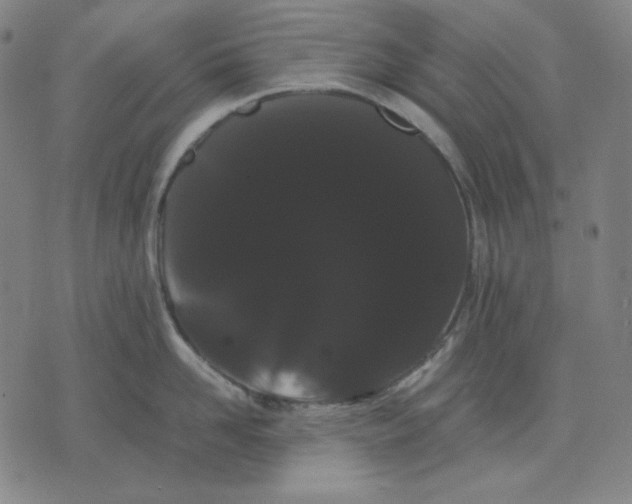 X0000071900958200607281800