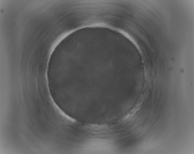 X0000071900959200607281800