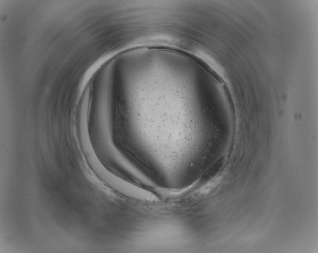 X0000071900960200607281800