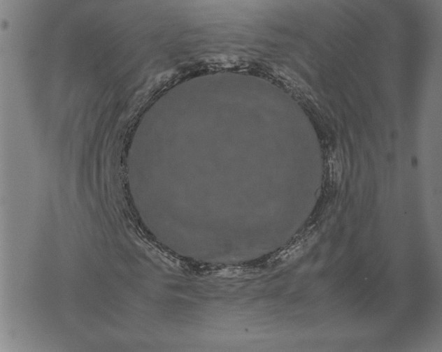 X0000071900961200607281759