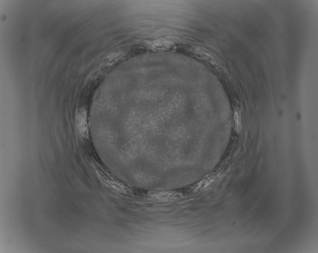 X0000071900963200607281759