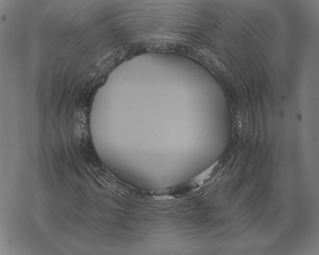 X0000071900964200607281759