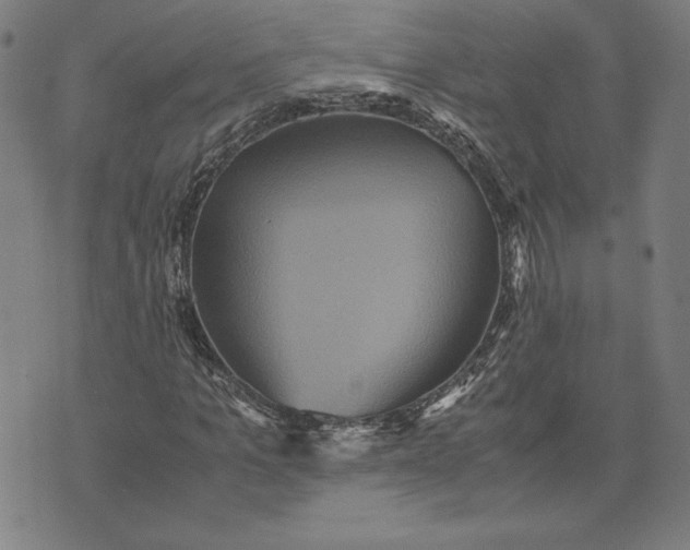 X0000071900965200607281759