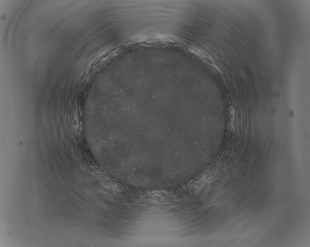 X0000071900966200607281759