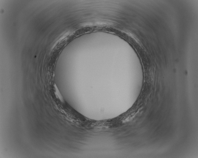 X0000071900967200607281759