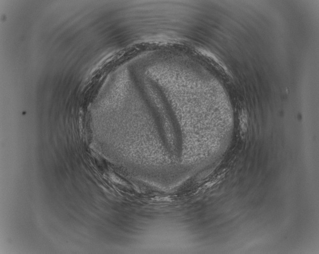 X0000071900968200607281759