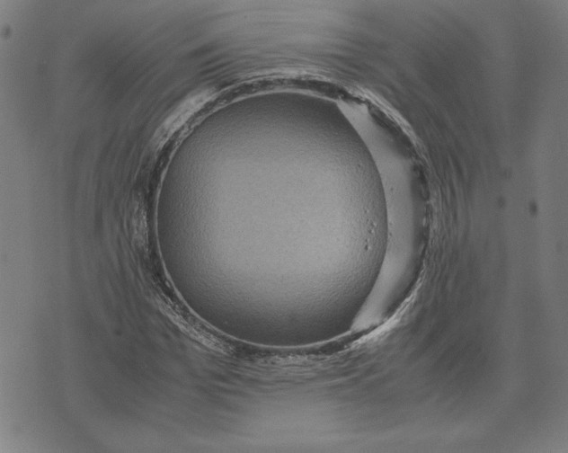 X0000071900969200607281759