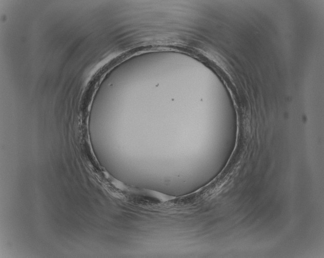 X0000071900971200607281759