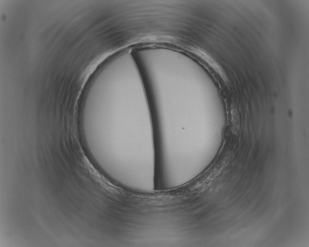 X0000071900972200607281759