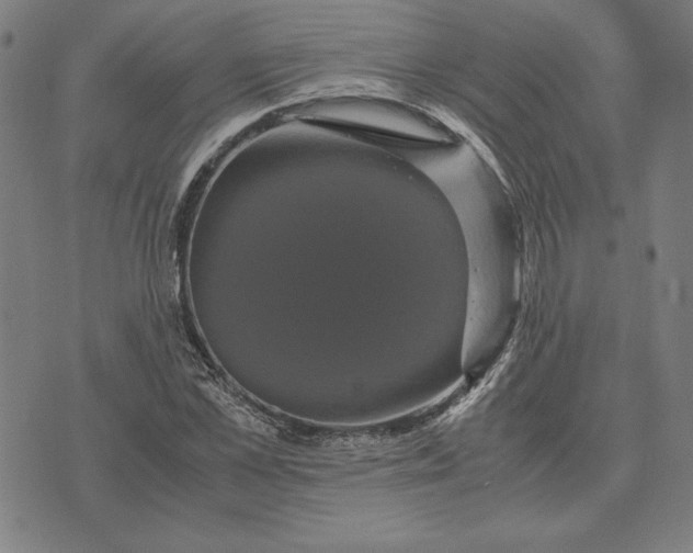 X0000071900973200607281759