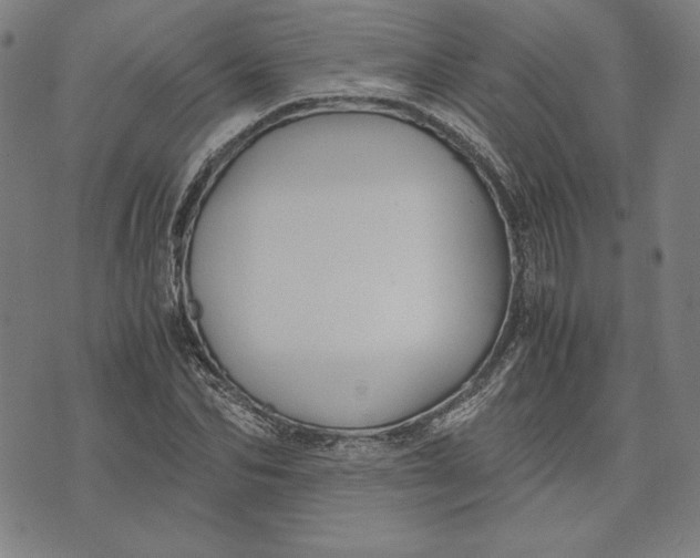 X0000071900974200607281759