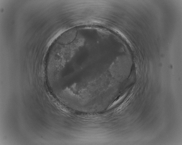 X0000071900975200607281759