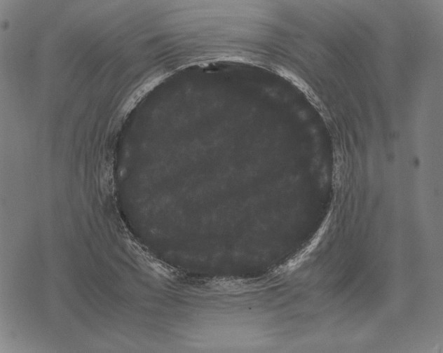 X0000071900977200607281759