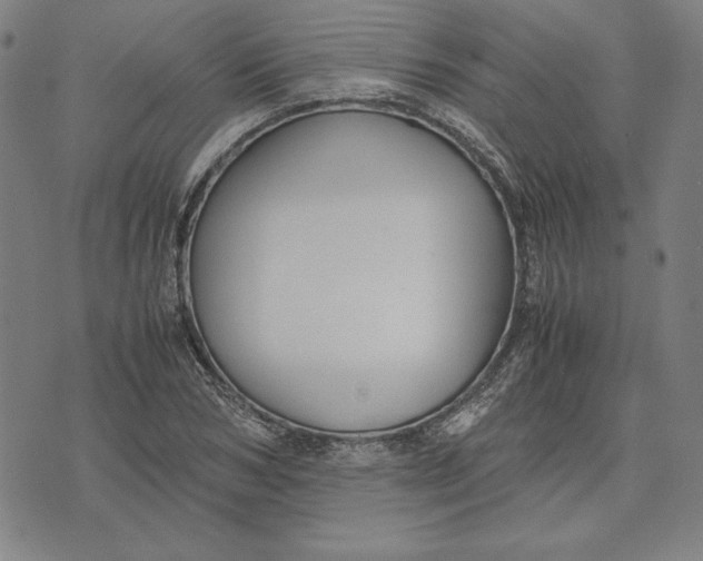 X0000071900978200607281759