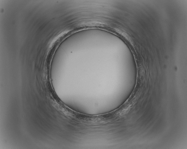 X0000071900979200607281759