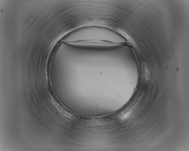 X0000071900980200607281759