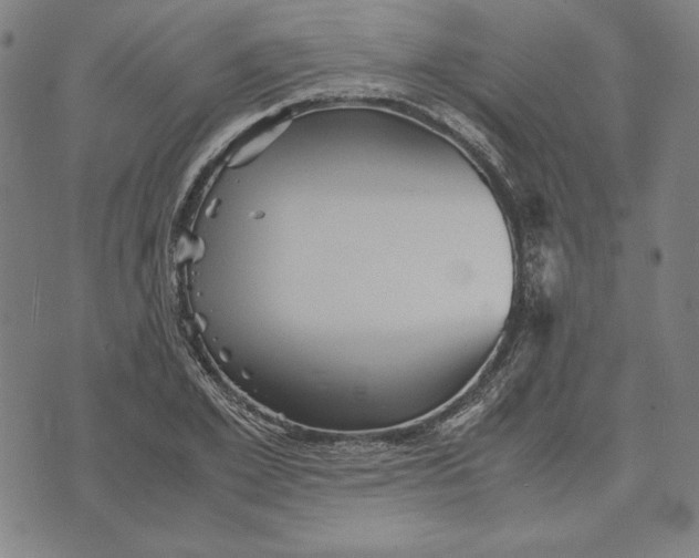 X0000071900981200607281759