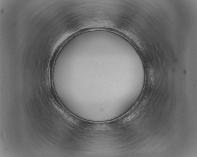 X0000071900982200607281759