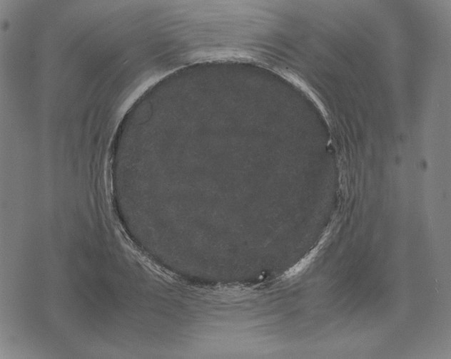 X0000071900983200607281759