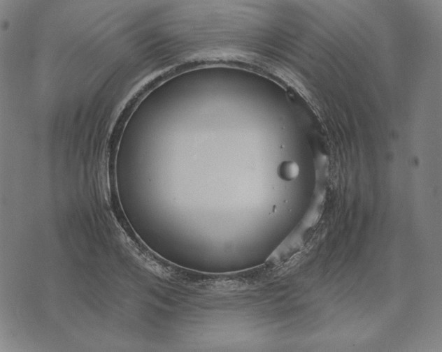 X0000071900984200607281759