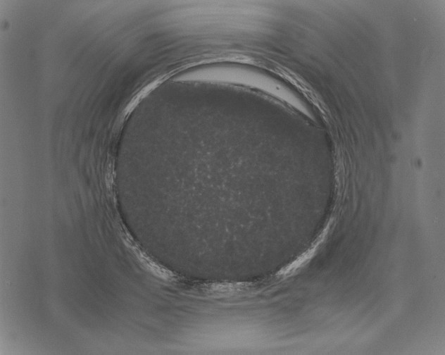 X0000071900985200607281759