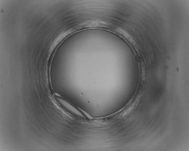 X0000071900986200607281759