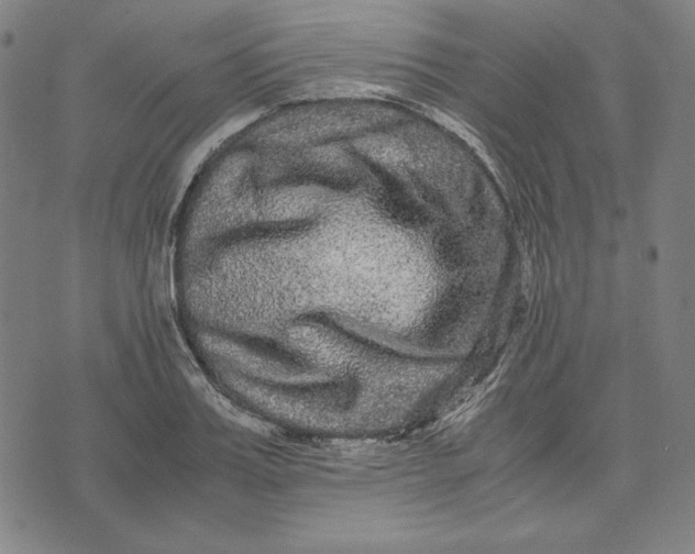 X0000071900987200607281759