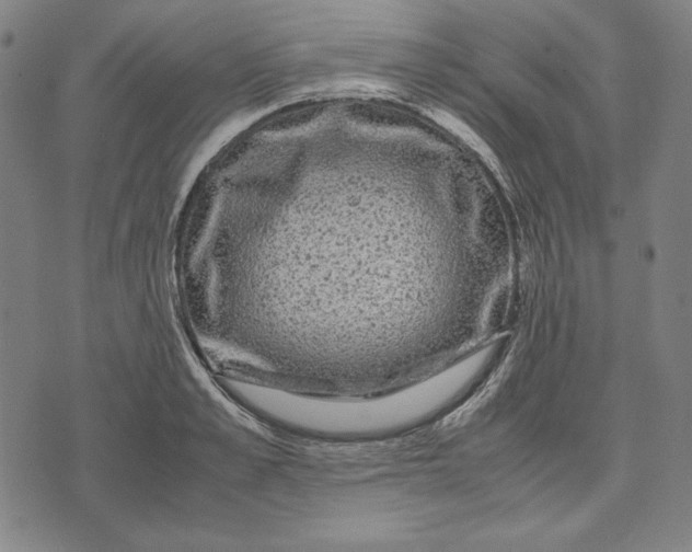 X0000071900989200607281759