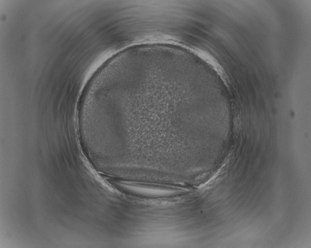 X0000071900990200607281759