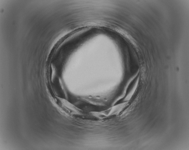 X0000071900991200607281759