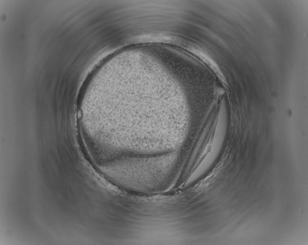 X0000071900992200607281759