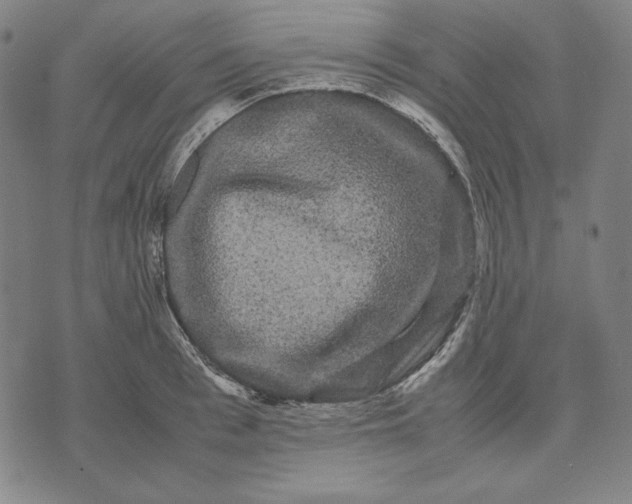 X0000071900993200607281759