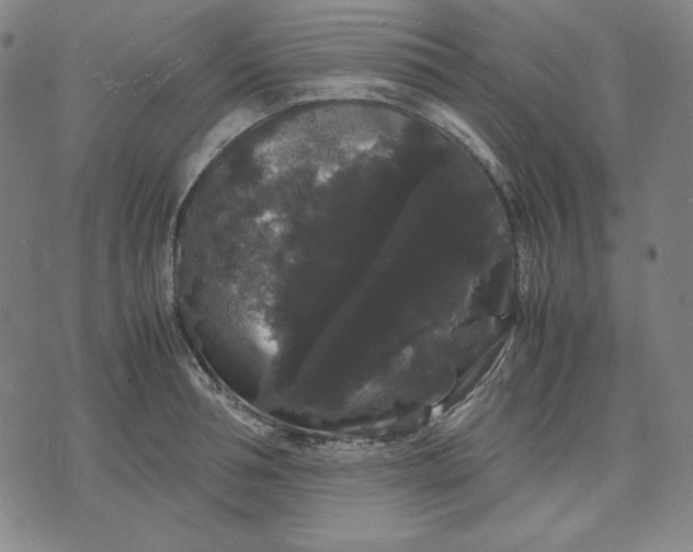 X0000071900994200607281759