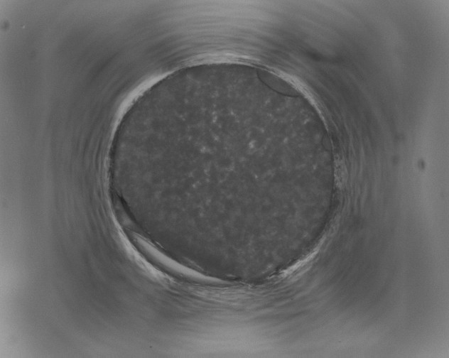 X0000071900995200607281759