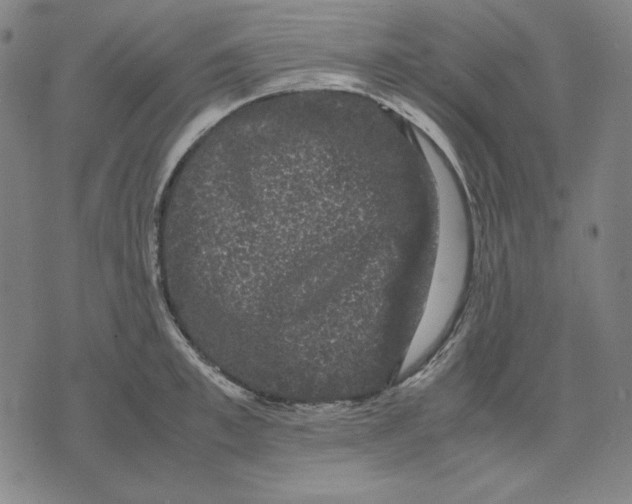 X0000071900997200607281759