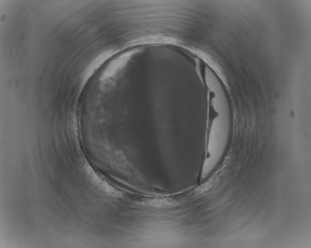 X0000071900998200607281759