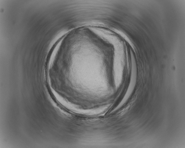 X0000071900999200607281759