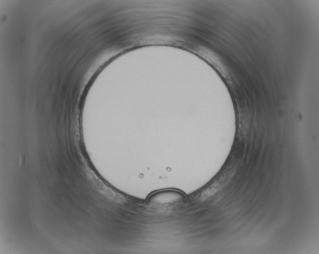 X0000071901000200607281759