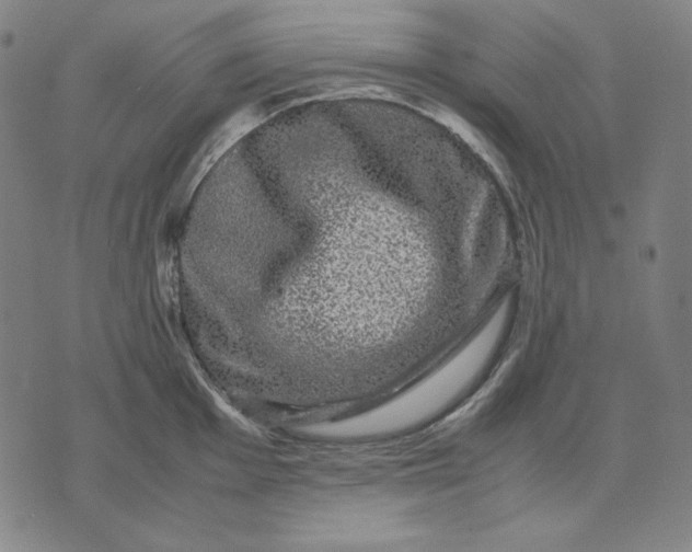 X0000071901001200607281759