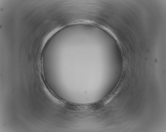 X0000071901003200607281759