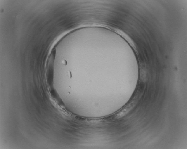 X0000071901004200607281759