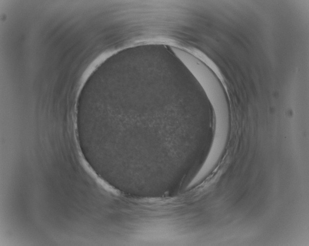 X0000071901005200607281759