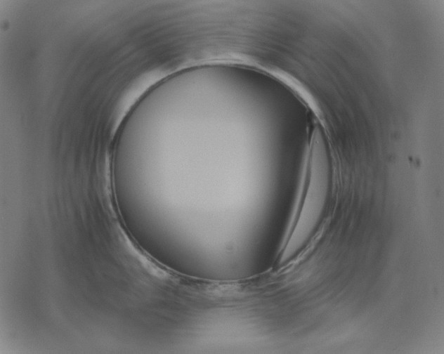 X0000071901006200607281759